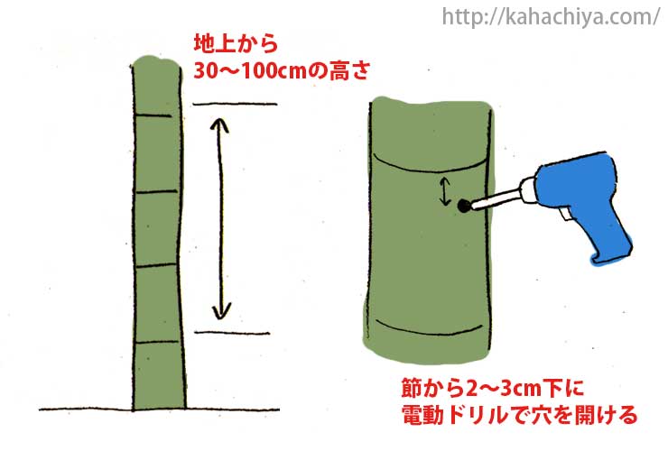 竹を枯らすには除草剤注入が一番簡単でオススメです